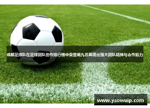 成都足球队在足球团队协作排行榜中荣登第九名展现出强大团队精神与合作能力
