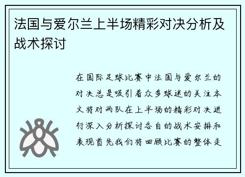 法国与爱尔兰上半场精彩对决分析及战术探讨